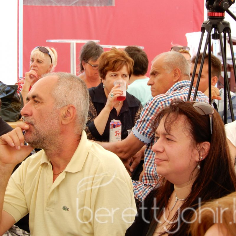 Semmelweis napi party 38